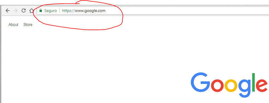 The Google Home Page. This is what the @app.route(“/”) will represent